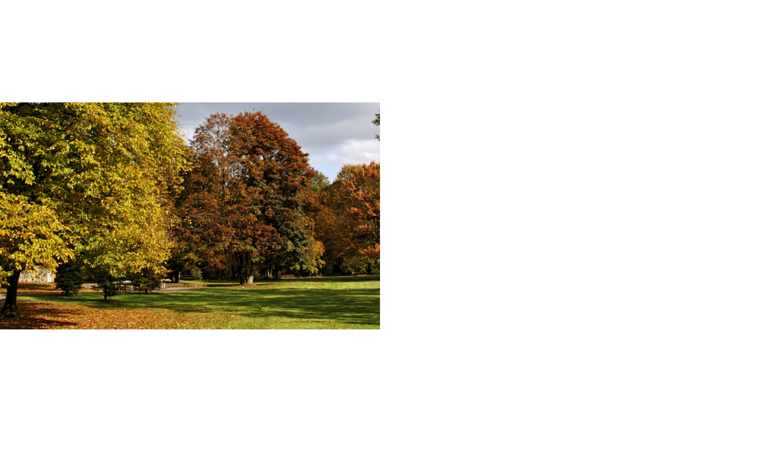 Herbstlicher Park mit buntem Laub und grüner Wiese, ideal zum Entspannen nahe dem LOUIS Hotel München.