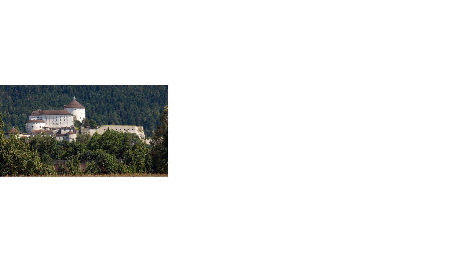 Eine große, historische Burg auf einem bewaldeten Hügel, umgeben von üppigem Grün.