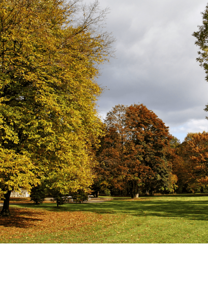 Autumn park with colorful trees and green meadow under a cloudy sky.