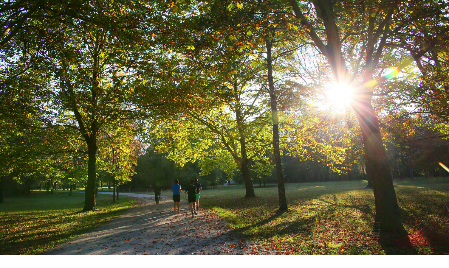 Joggen im Englischen Garten Sonnenstrahlen durch Bäume in einem Park, Menschen joggen auf einem Weg, herbstliche Stimmung.