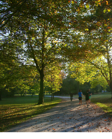 Rays of sunshine through trees in a park, people jogging along a path, autumnal atmosphere.
