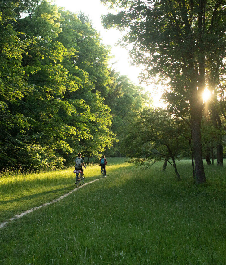 Englischer Garten in München Zwei Radfahrer auf einem Waldweg bei Sonnenuntergang, umgeben von üppigen grünen Bäumen.