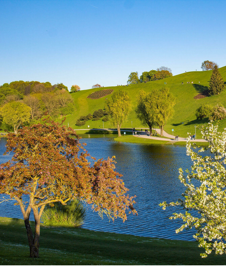 Grüne Hügel mit blühenden Bäumen und einem See im Vordergrund unter klarem, blauem Himmel.