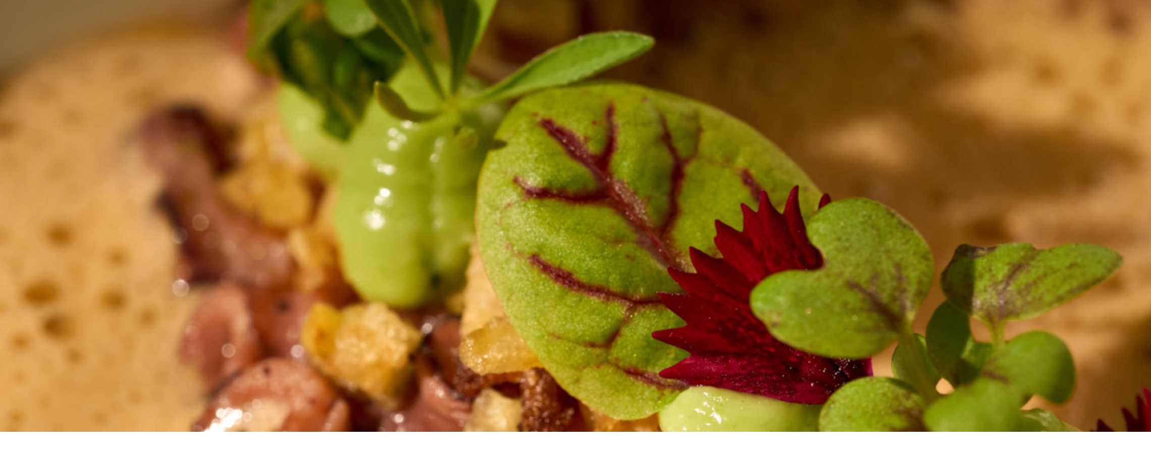 A close-up of salad on a foam sauce.